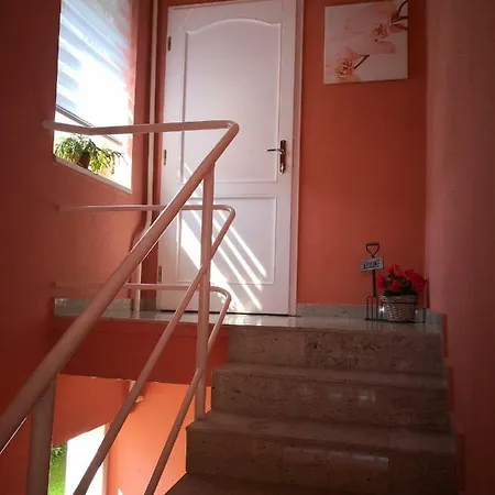Kupola Szeged